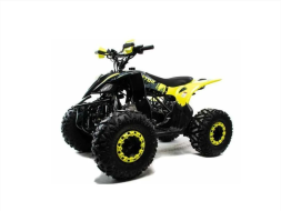 Квадроцикл MOTOLAND ATV RAPTOR A 125 Квадроцикл MOTOLAND ATV RAPTOR A 125