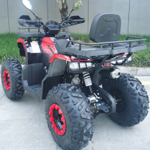 Квадроцикл RACER Gladiator 200