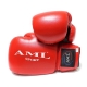 Перчатки боксерские AML