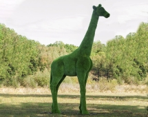 Топиари Жираф большой, модель 2 - газон Premium
