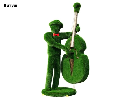 Топиари музыкант, контрабасист Витуш - газон Deluxe, фото 1