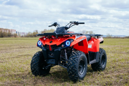 Квадроцикл SHARMAX Hummer 300, фото 13 Квадроцикл SHARMAX Hummer 300, фото 13