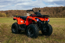 Квадроцикл SHARMAX Hummer 300, фото 12 Квадроцикл SHARMAX Hummer 300, фото 12