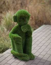 Топиари &quot;Обезьяна&quot;