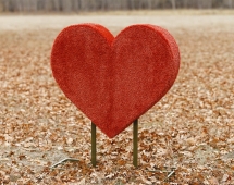 Топиари Сердце С надписью - газон Eco