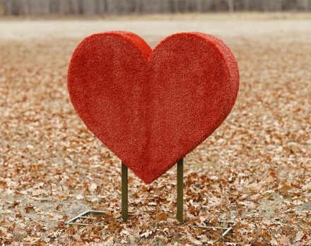 Топиари Сердце С надписью - газон Eco, фото 3