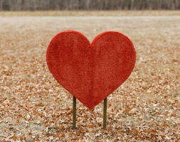 Топиари Сердце С надписью - газон Eco, фото 4