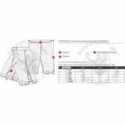 Шорты Hayabusa hayshorts064, фото 2