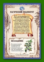 Зельеварение - Университетский курс