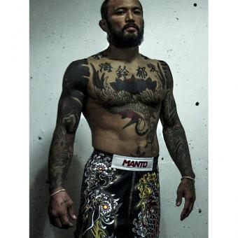 Шорты Manto manshorts089, фото 3