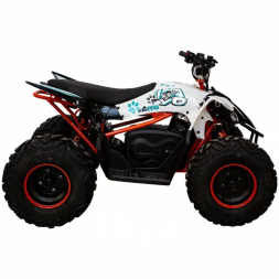 Квадроцикл KAYO EA110, фото 5 Квадроцикл KAYO EA110, фото 5