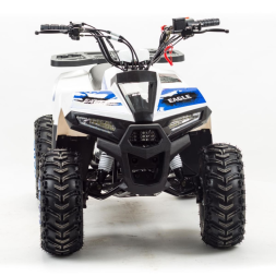 Квадроцикл MOTOLAND 110 Eagle (2021 Г.), фото 3 Квадроцикл MOTOLAND 110 Eagle (2021 Г.), фото 3