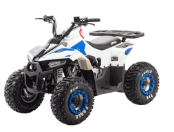 Квадроцикл MOTOLAND 110 Eagle (2021 Г.), фото 1 Квадроцикл MOTOLAND 110 Eagle (2021 Г.), фото 1