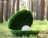 Топиари ракушка L=135 см - газон Eco Green