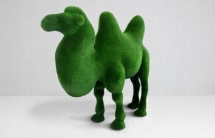 Топиари Верблюд двугорбый Топиари Верблюд двугорбый