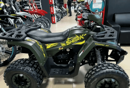Квадроцикл YAMAHA Shark 175, фото 11