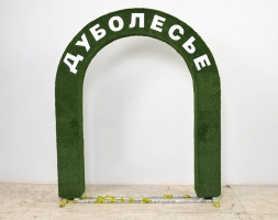 Топиари арка Дуболесье - газон Есо, фото 2