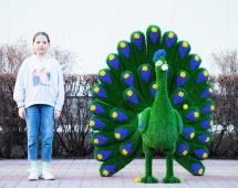 Топиари павлин Григориан, h=155 см - газон Eco Топиари павлин Григориан, h=155 см - газон Eco