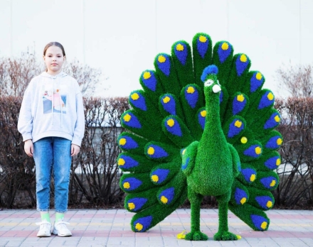 Топиари павлин Григориан, h=155 см - газон Eco, фото 5