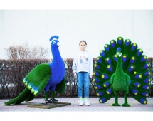 Топиари павлин Григориан, h=155 см - газон Eco Топиари павлин Григориан, h=155 см - газон Eco