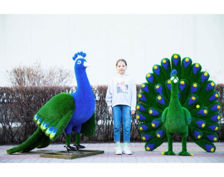 Топиари павлин Григориан, h=155 см - газон Eco, фото 9