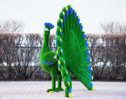 Топиари павлин Григориан, h=155 см - газон Eco, фото 7