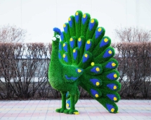 Топиари павлин Григориан, h=155 см - газон Eco Топиари павлин Григориан, h=155 см - газон Eco