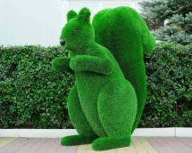 Топиари белка Лора - газон Deluxe Топиари белка Лора - газон Deluxe