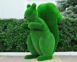 Топиари белка Лора - газон Deluxe, фото 1