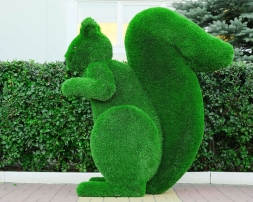 Топиари белка Лора - газон Deluxe, фото 2