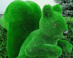 Топиари белка Лора - газон Deluxe, фото 4