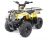Квадроцикл ATV Atomik TT