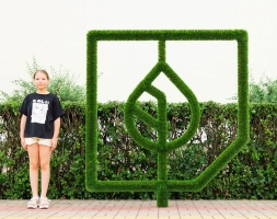 Топиари стела Ботаника - газон Deluxe, фото 2