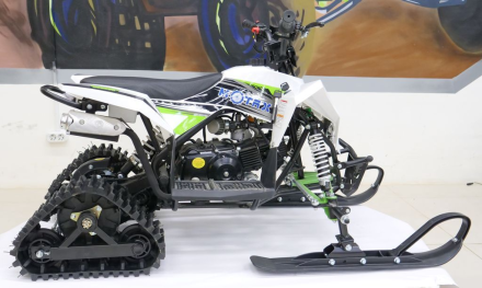 Снегоцикл MOTAX Gekkon 70 Snow, фото 3