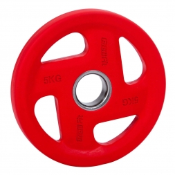 Диск обрезиненный PROFI-FIT цветной FASSION D-51,  5 кг, фото 1
