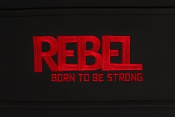 Скамья для пресса REBEL A26, фото 2