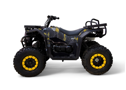 Квадроцикл MOTAX Grizlik W200, фото 2