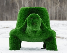 Топиари Черепаха с кашпо, Мудрая газон Eco