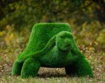Топиари Черепаха с кашпо, Мудрая газон Eco