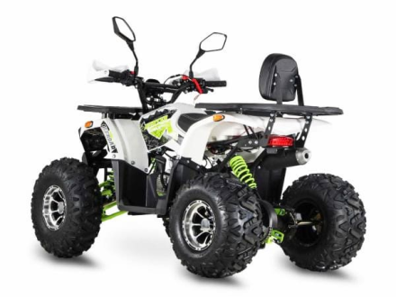 Квадроцикл GRIZZLY Aerox 125, фото 3