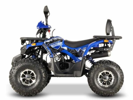 Квадроцикл GRIZZLY Aerox 125, фото 2