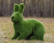 Топиари зайчиха Ребека - газон Premium Топиари зайчиха Ребека - газон Premium