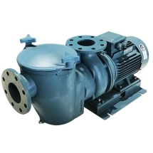 Насос с префильтром Emaux SE-5,5