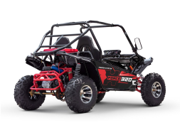 Багги SHARMAX XForce 320 Sport, фото 6 Багги SHARMAX XForce 320 Sport, фото 6