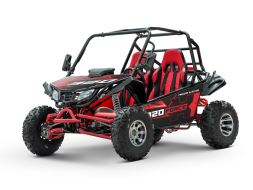 Багги SHARMAX XForce 320 Sport, фото 4 Багги SHARMAX XForce 320 Sport, фото 4