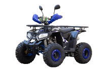 Квадроцикл UNIVERSAL ATV 125 TM Fusion plus