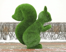 Топиари белка Роза - газон Deluxe Топиари белка Роза - газон Deluxe