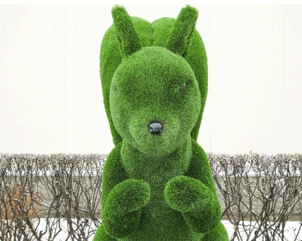 Топиари белка Роза - газон Deluxe, фото 3