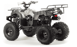 Квадроцикл MOTOLAND 200 All Road (2021 Г.), фото 4