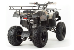 Квадроцикл MOTOLAND 200 All Road (2021 Г.), фото 3